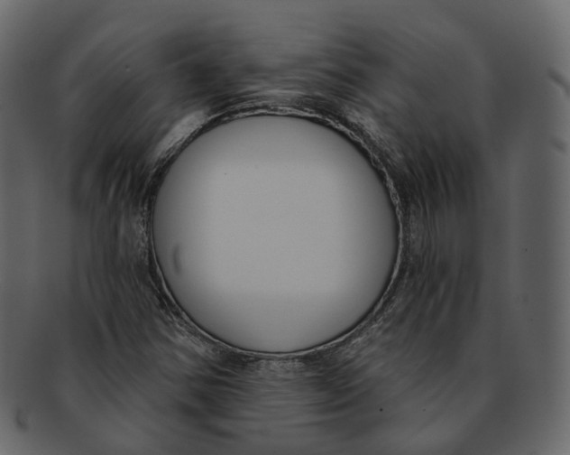 X0000093091354200710171129