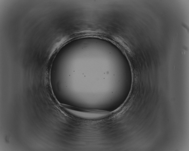 X0000093091357200710171128