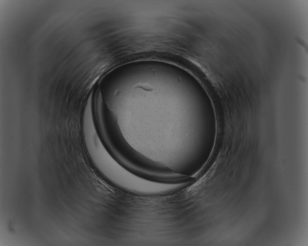 X0000093091361200710171128