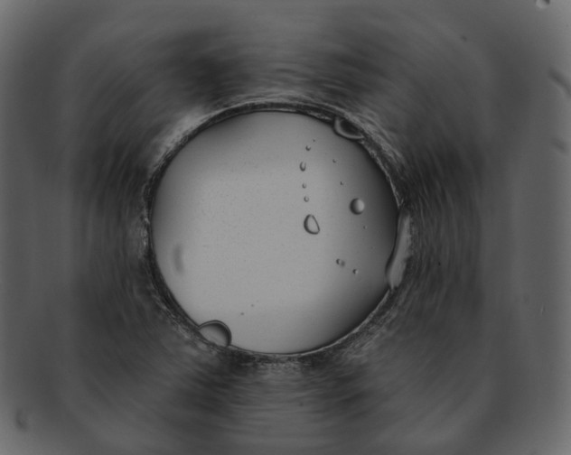 X0000093091363200710171128