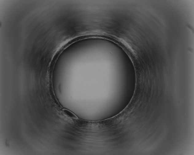 X0000093091364200710171128