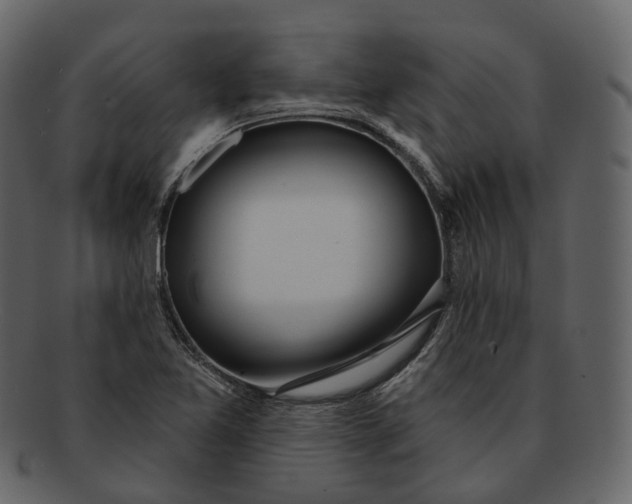 X0000093091365200710171128