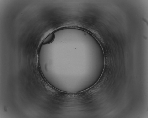 X0000093091366200710171128