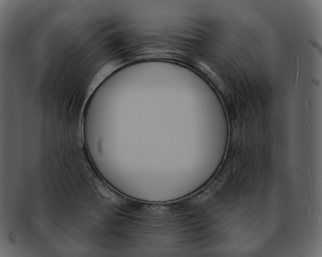 X0000093091370200710171128