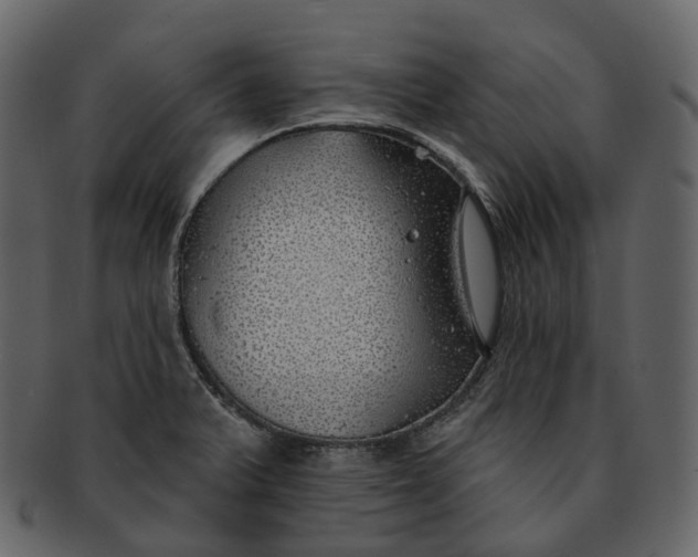 X0000093091375200710171128