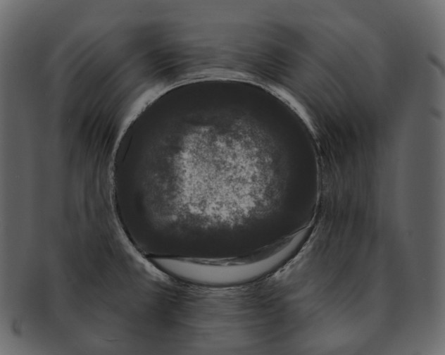 X0000093091381200710171128