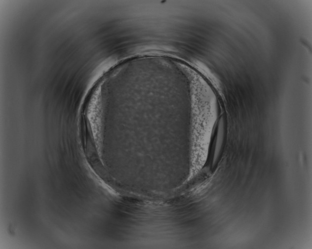 X0000093091384200710171128