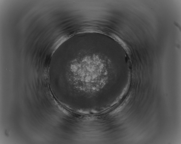 X0000093091385200710171128