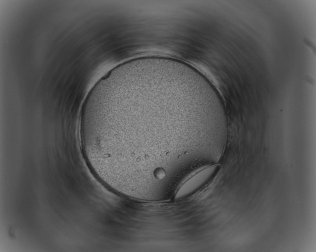 X0000093091391200710171128