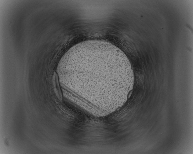 X0000093091393200710171127