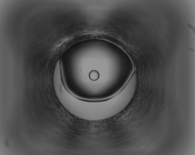 X0000093091398200710171127