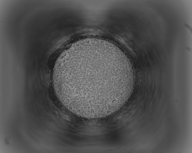 X0000093091399200710171127