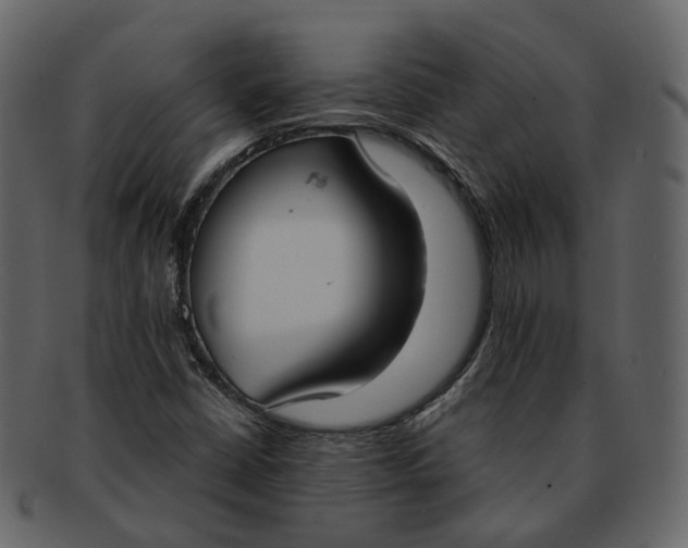 X0000093091402200710171127