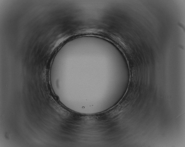 X0000093091404200710171127