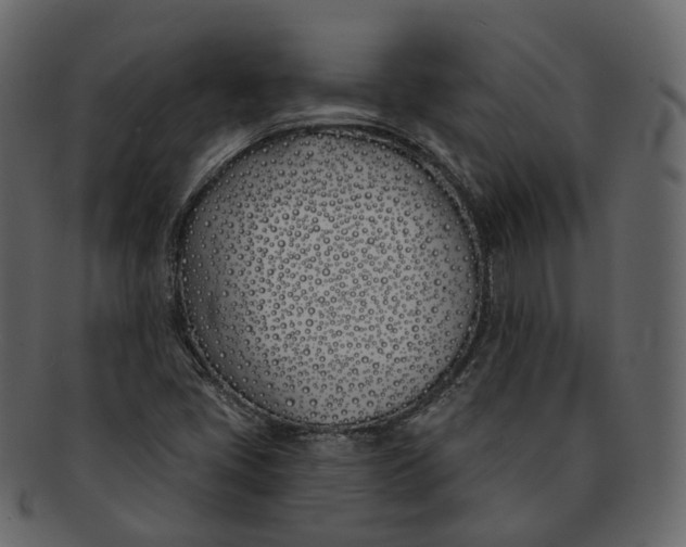 X0000093091405200710171127