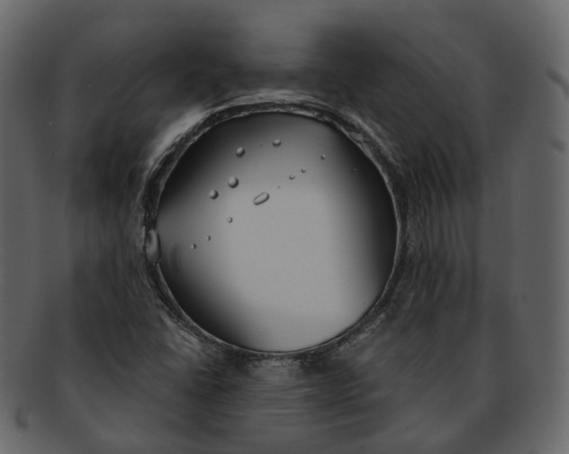 X0000093091406200710171127