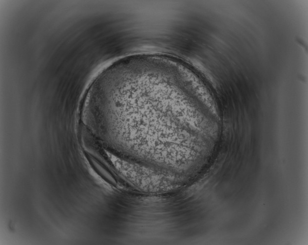 X0000093091421200710171128