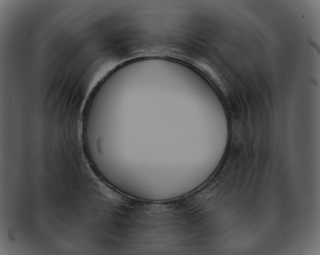 X0000093091424200710171128