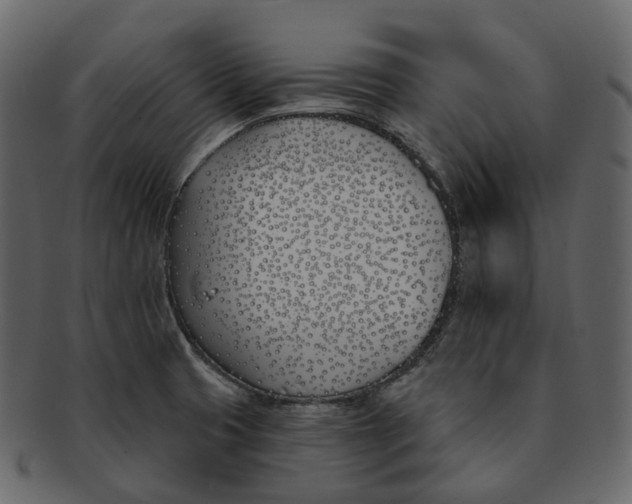 X0000093091425200710171128