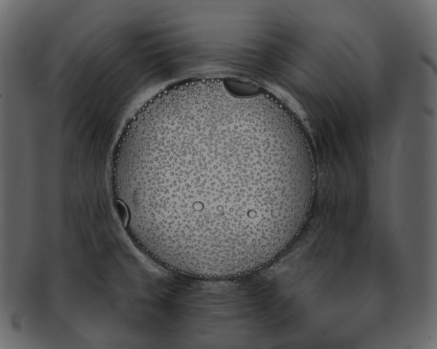 X0000093091429200710171128