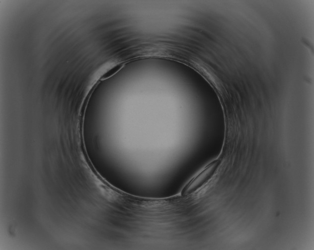 X0000093091434200710171128