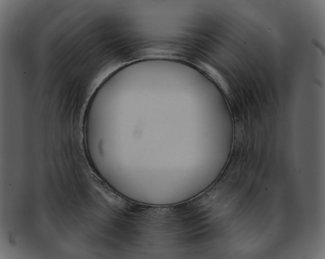 X0000093091435200710171128