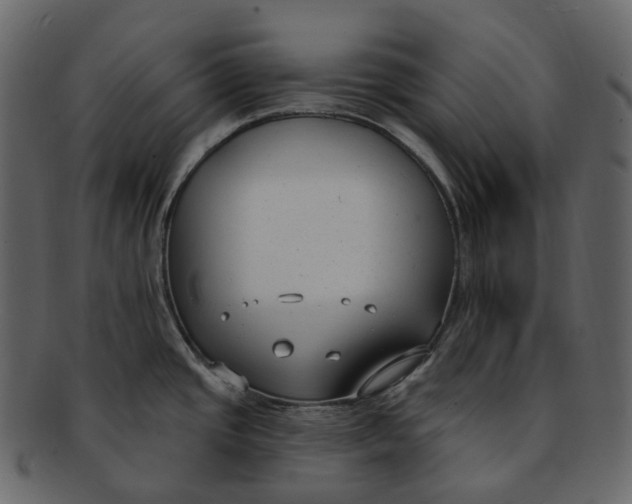 X0000093091437200710171128