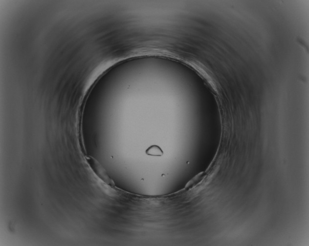 X0000093091438200710171128