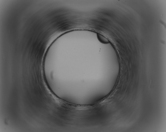 X0000093091440200710171128