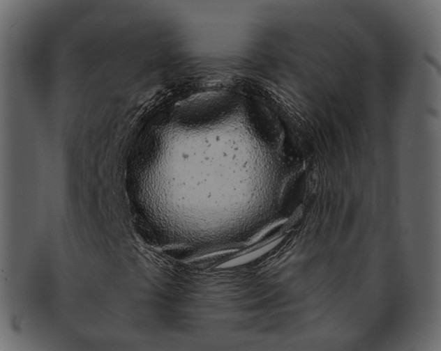 X0000093091441200710171127