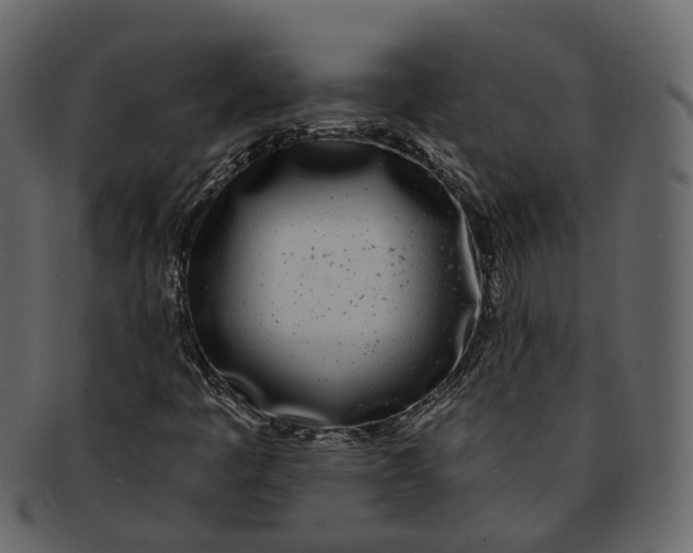 X0000093091445200710171127