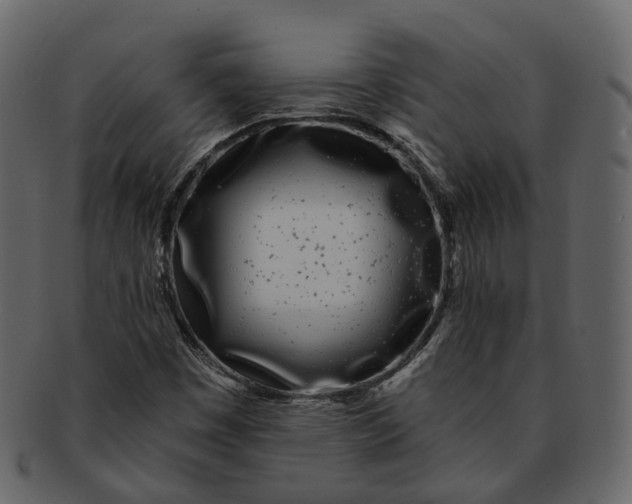 X0000093091449200710171127