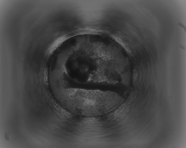 X0000093091455200710171127