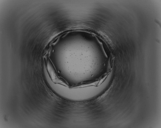 X0000093091457200710171127