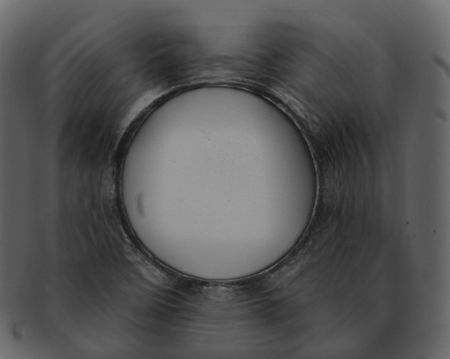 X0000093091458200710171127