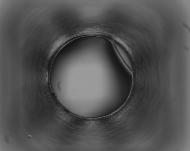 X0000093091461200710171127