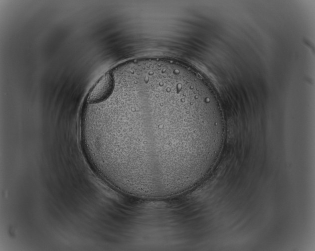 X0000093091467200710171127