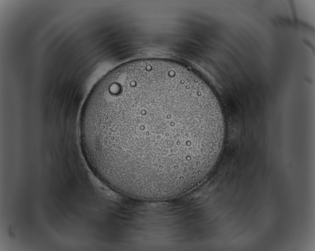 X0000093091471200710171127