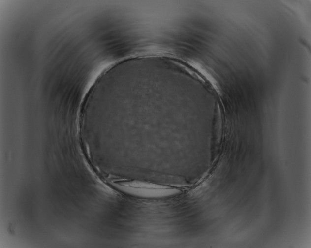 X0000093091477200710171127