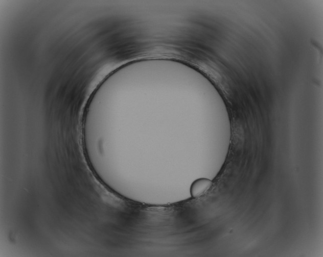 X0000093091478200710171127