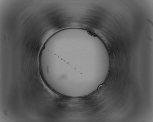 X0000093091479200710171127