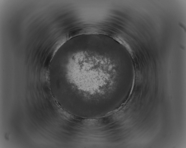 X0000093091481200710171127