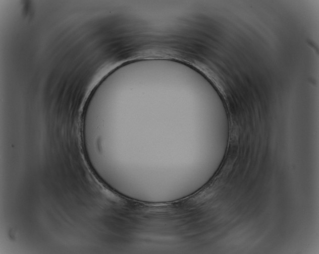 X0000093091486200710171127