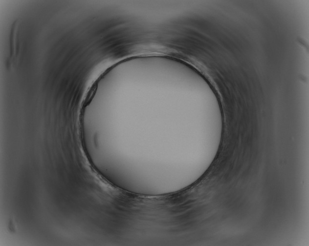 X0000093091488200710171127