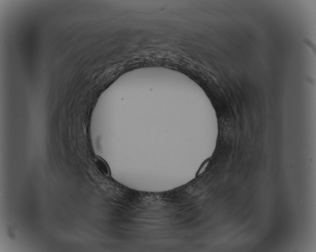 X0000093091489200710171126