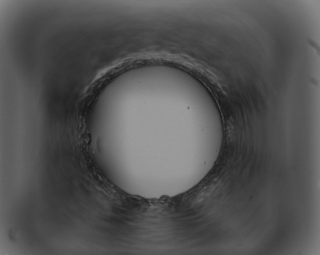 X0000093091494200710171126