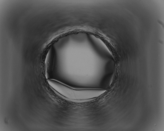 X0000093091496200710171126