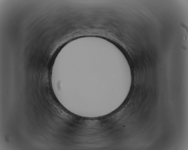 X0000093091498200710171126