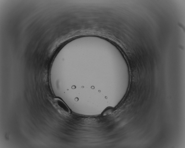 X0000093091499200710171126