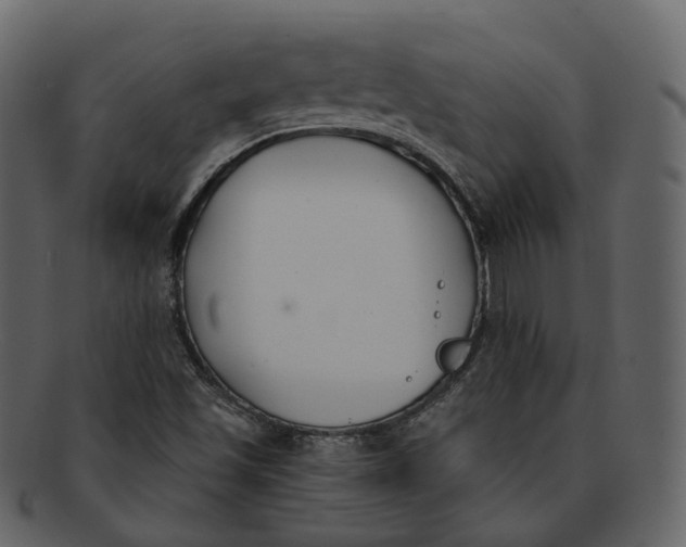 X0000093091501200710171126